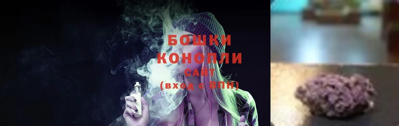 Каннабис White Widow  МЕГА маркетплейс  Динская 